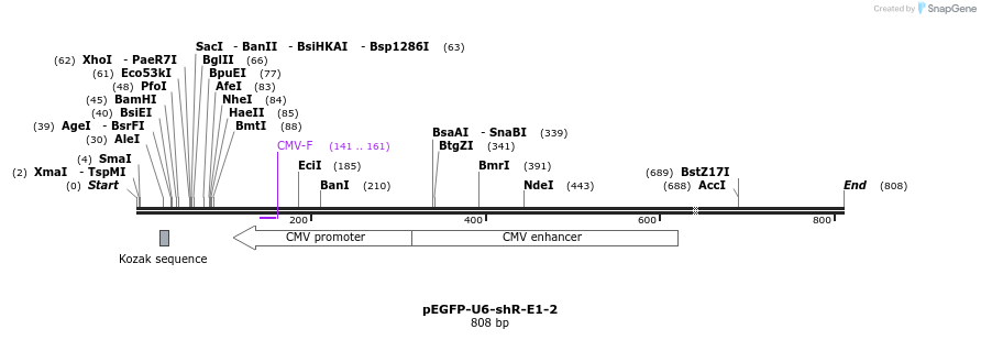 25555_map