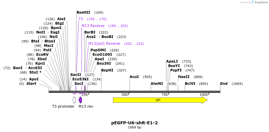 25556_map