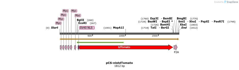 255570_map