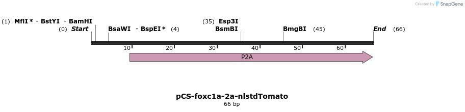 255578_map