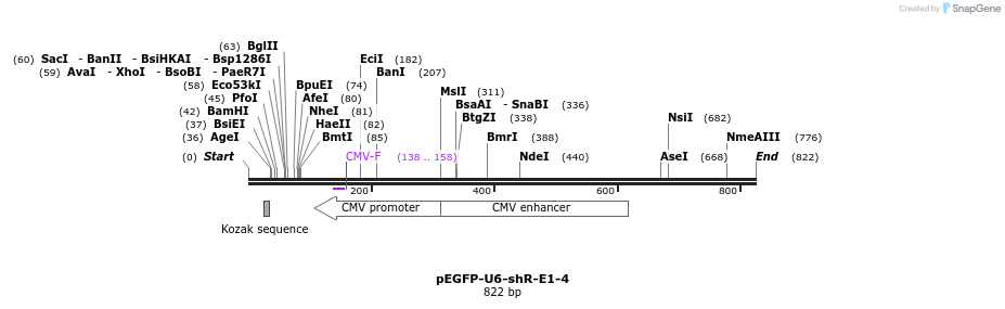 25559_map