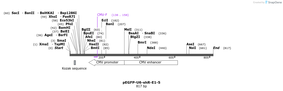 25561_map