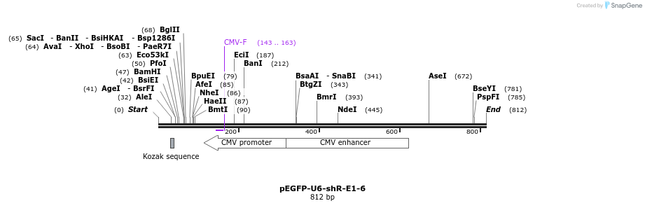 25563_map