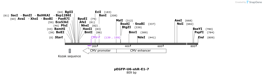 25565_map