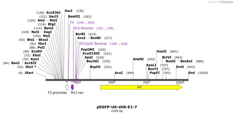 25566_map