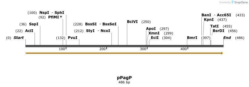 255687_map