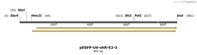 25573_map