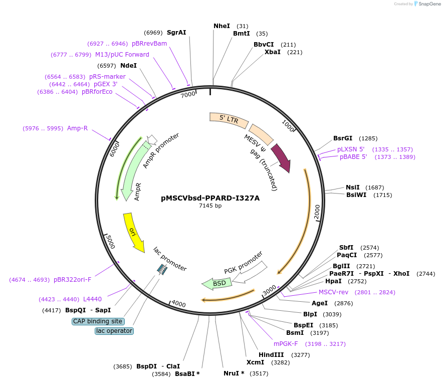 255730_map