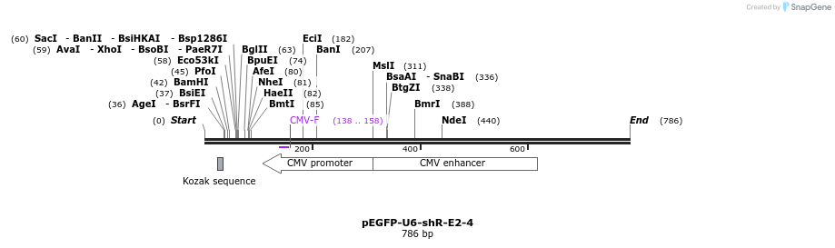 25575_map