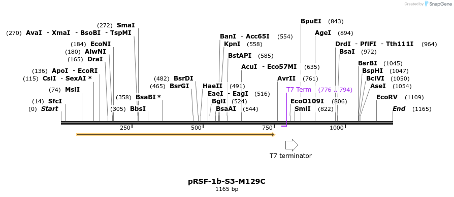 255751_map