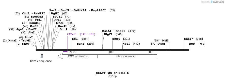 25577_map