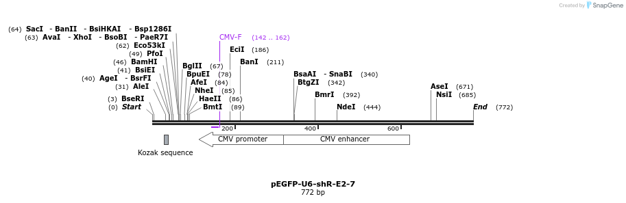 25579_map