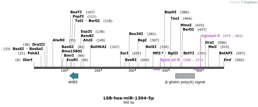 255796_map