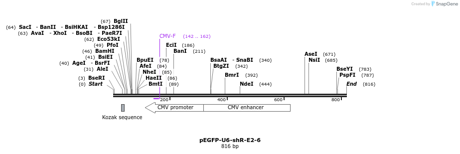 25581_map