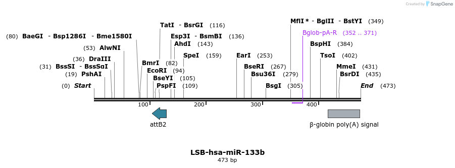 255878_map