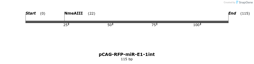 25590_map