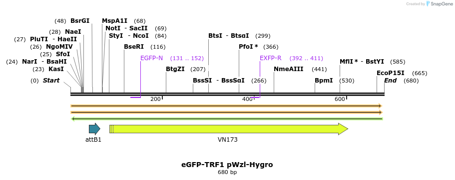 25595_map