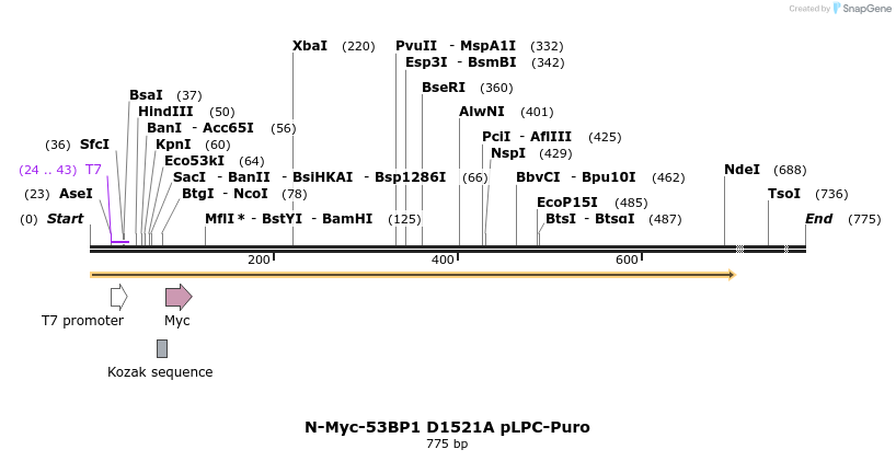 25599_map