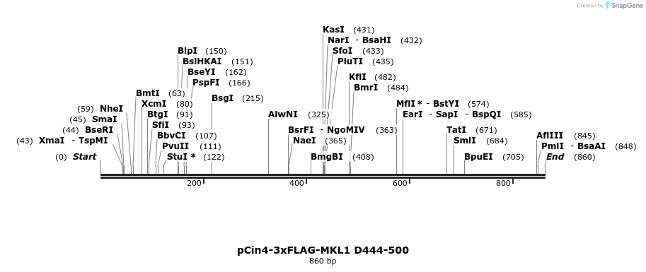 25600_map