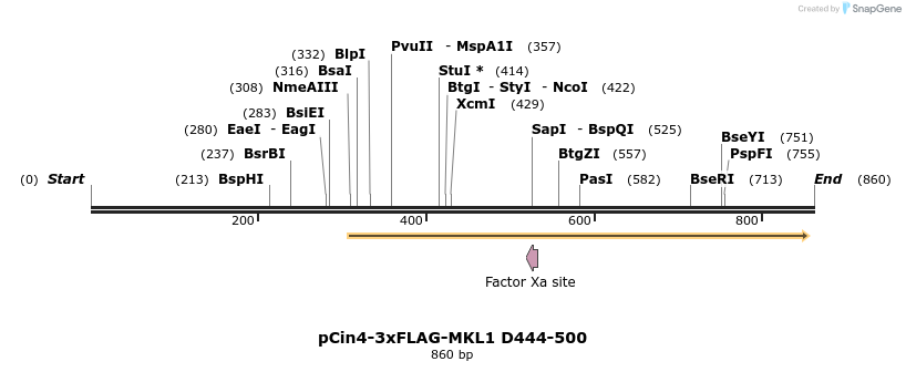 25601_map