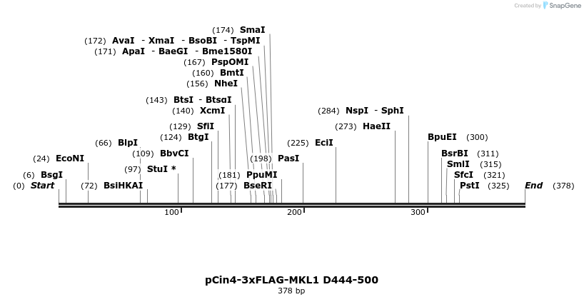 25602_map