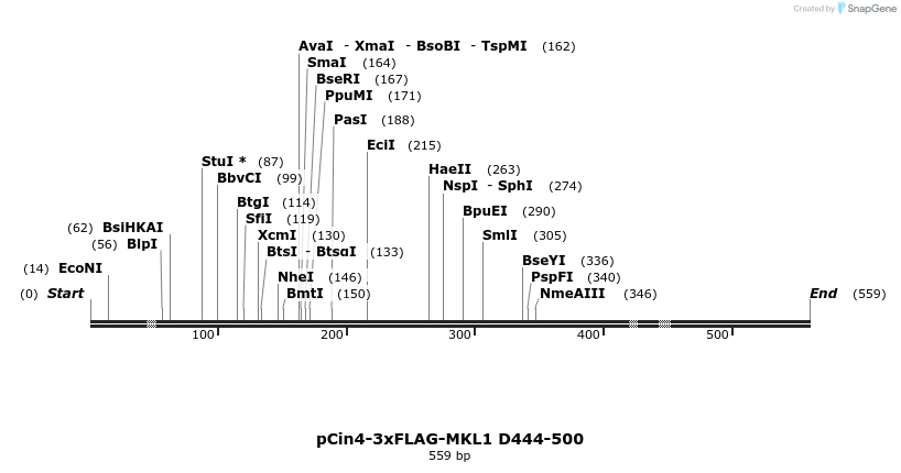 25603_map