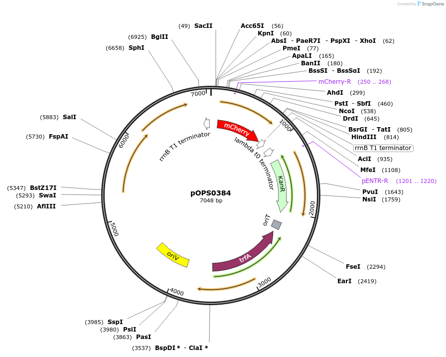 256030_map