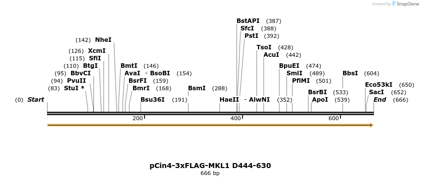 25604_map