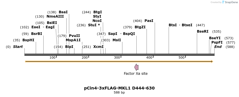 25605_map