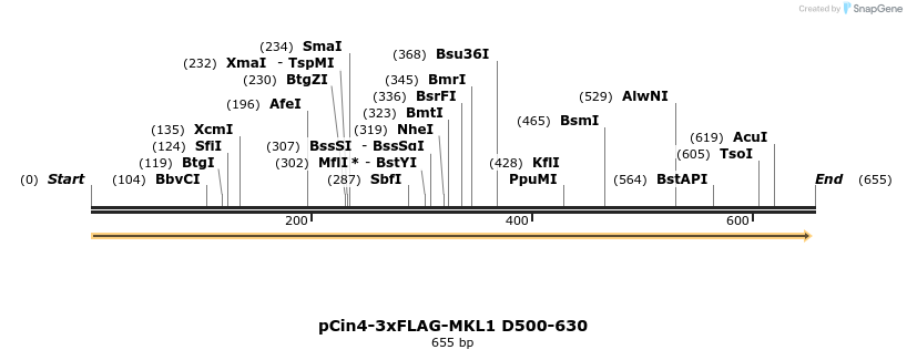 25606_map