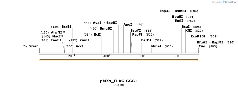 256060_map