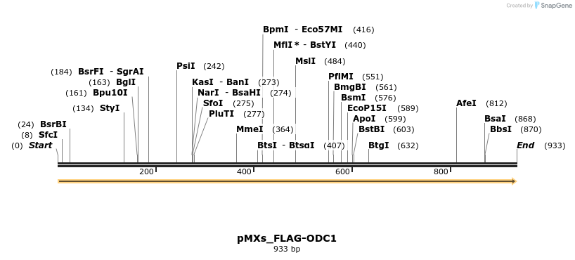 256063_map