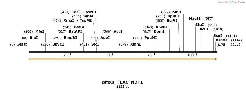 256068_map