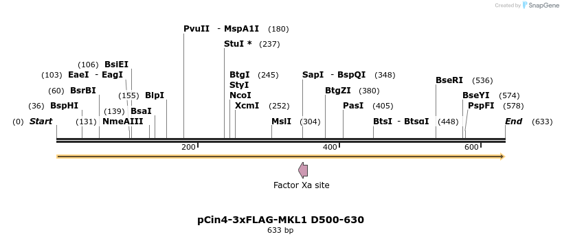 25607_map