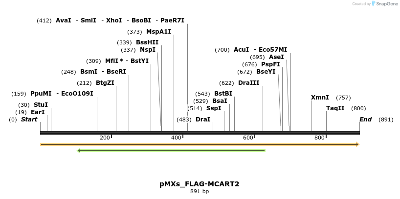 256076_map