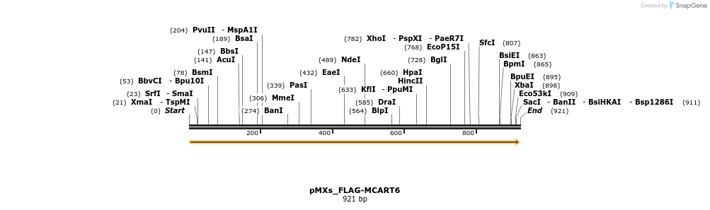 256077_map