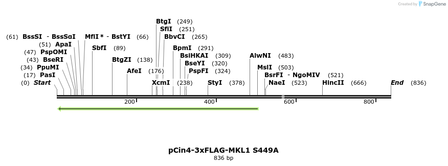 25608_map