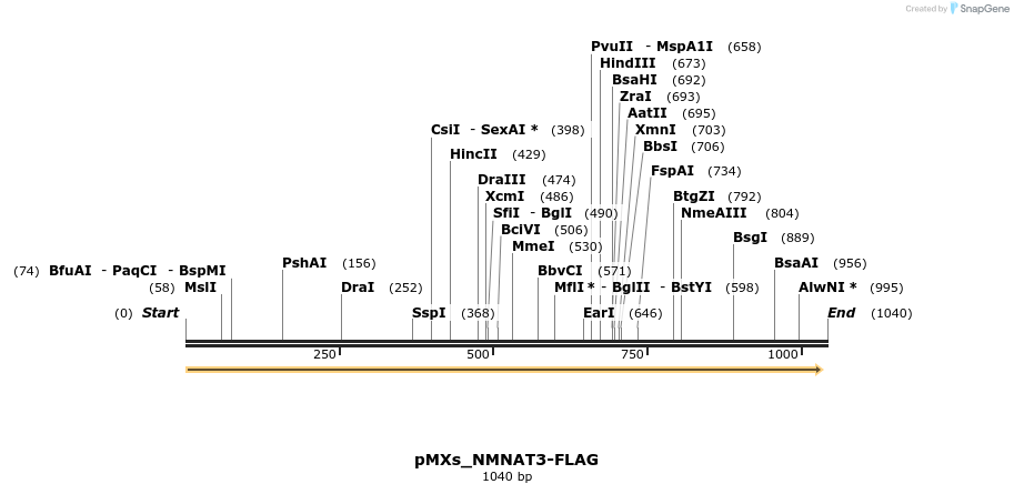 256080_map