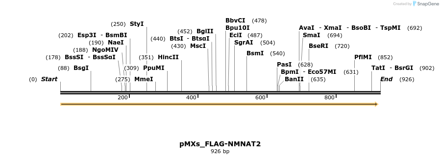 256081_map
