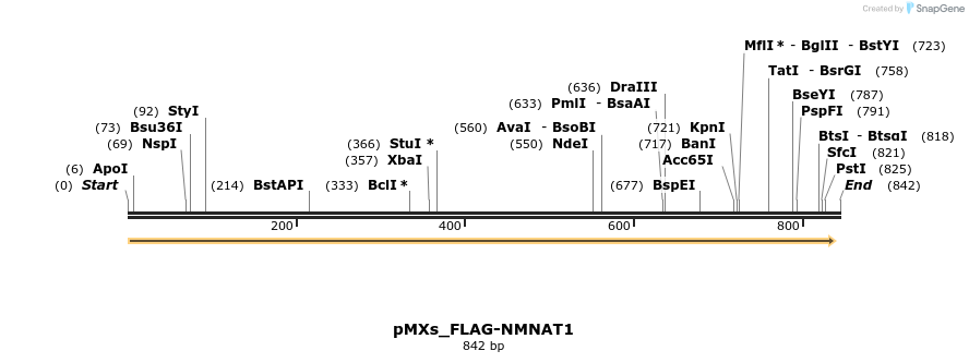 256082_map