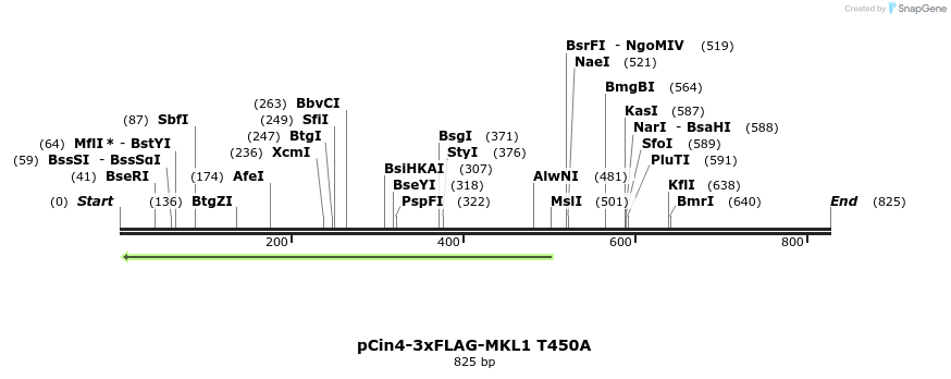 25609_map