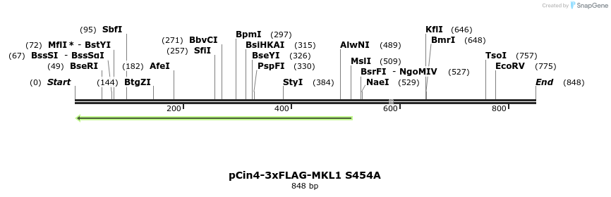 25610_map