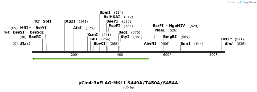 25611_map