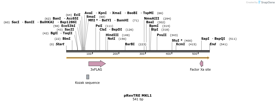 25612_map
