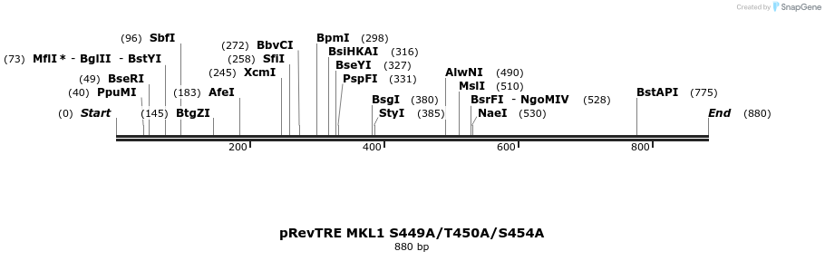 25613_map