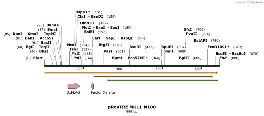 25614_map