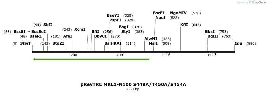 25615_map