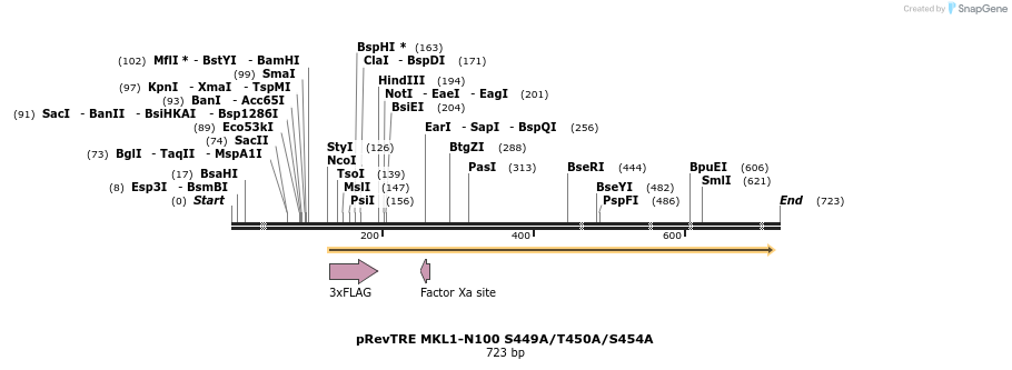 25617_map