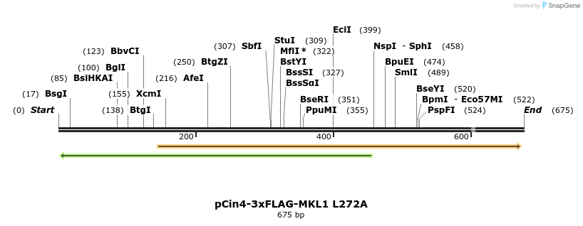 25618_map