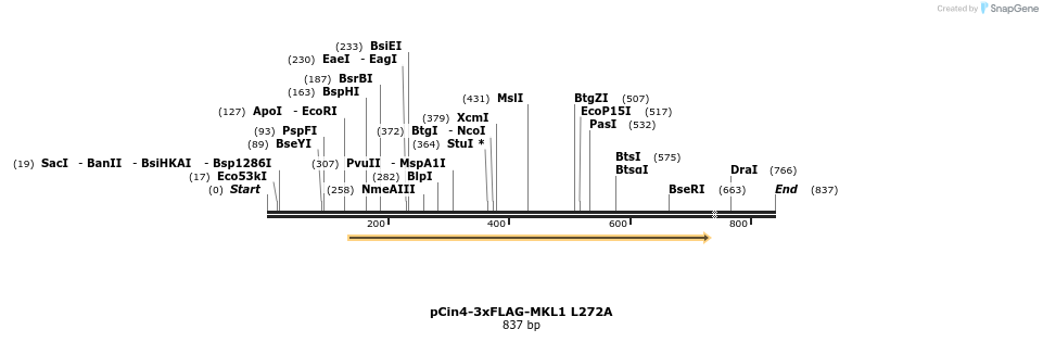25619_map